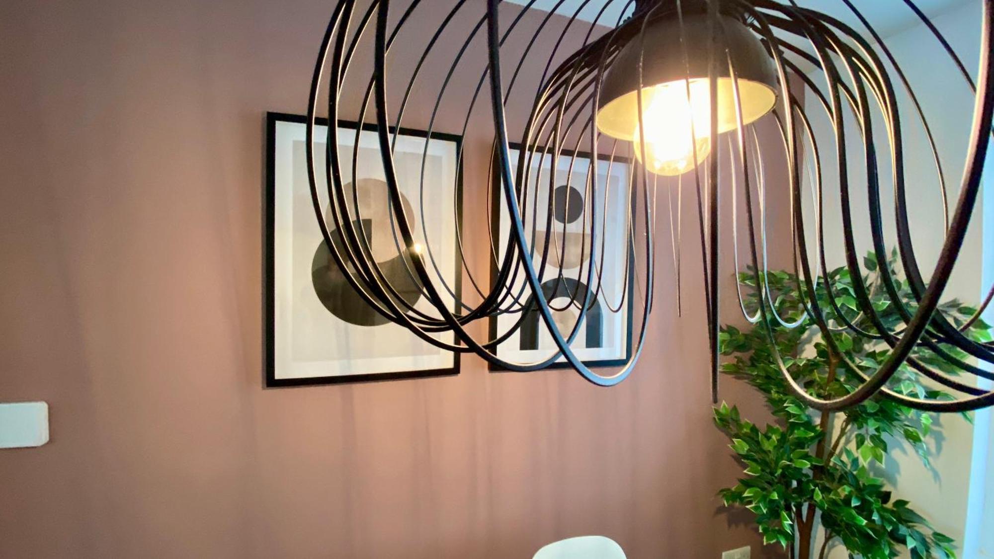 Belmont Residence 贝尔法斯特 外观 照片